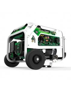 Generador eléctrico Genergy Natura 7000W