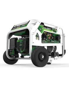 Generador eléctrico Genergy Natura 5500 (gasolina/gas)