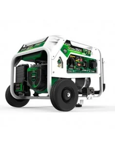 Generador eléctrico Genergy Natura 5500W