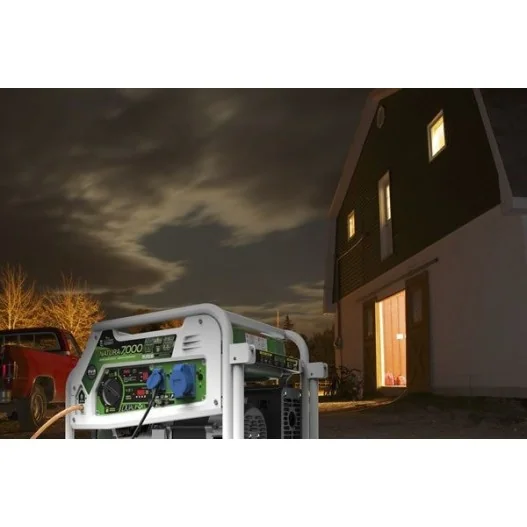 Generador eléctrico Genergy Natura 3000 (gasolina/gas) Generador eléctrico Genergy Natura 3000 (gasolina/gas)