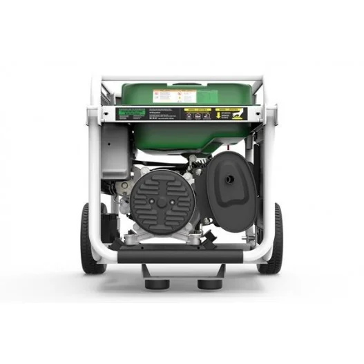 Generador eléctrico Genergy Natura 3000 (gasolina/gas) Generador eléctrico Genergy Natura 3000 (gasolina/gas)