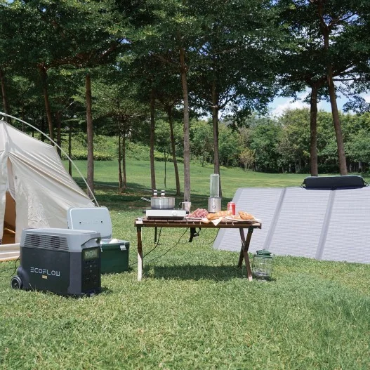 EFSOLAR400W Panel Solar 400W ECOFLOW EFSOLAR400W Panel Solar 400W ECOFLOW