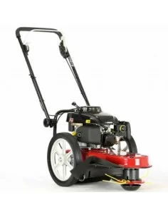 Desbrozadora Gasolina Motor Roteco 4T 5.5Hp AXB 5616