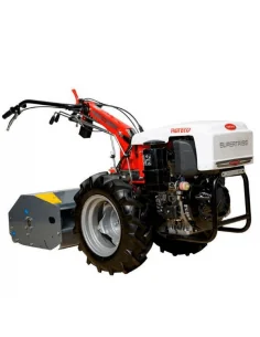 Motocultor Roteco SuperTriss 3+3 Motor Roteco 306