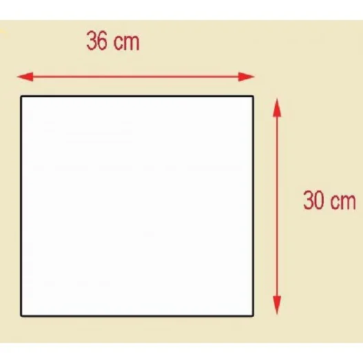 Plancha de hierro fundido de alta calidad con acabado en acero color negro 36X30X1,3cm IMOR Plancha de hierro fundido de alta calidad con acabado en acero color negro 36X30X1,3cm IMOR