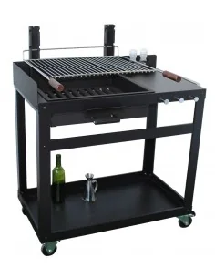 Kit de barbacoa para exterior con parrilla de leña o carbón con ruedas y mesa lateral modelo Aviles IMOR