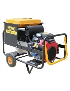 MOTOSOLDADORA GASOLINA AYERBE 290 H CC TX